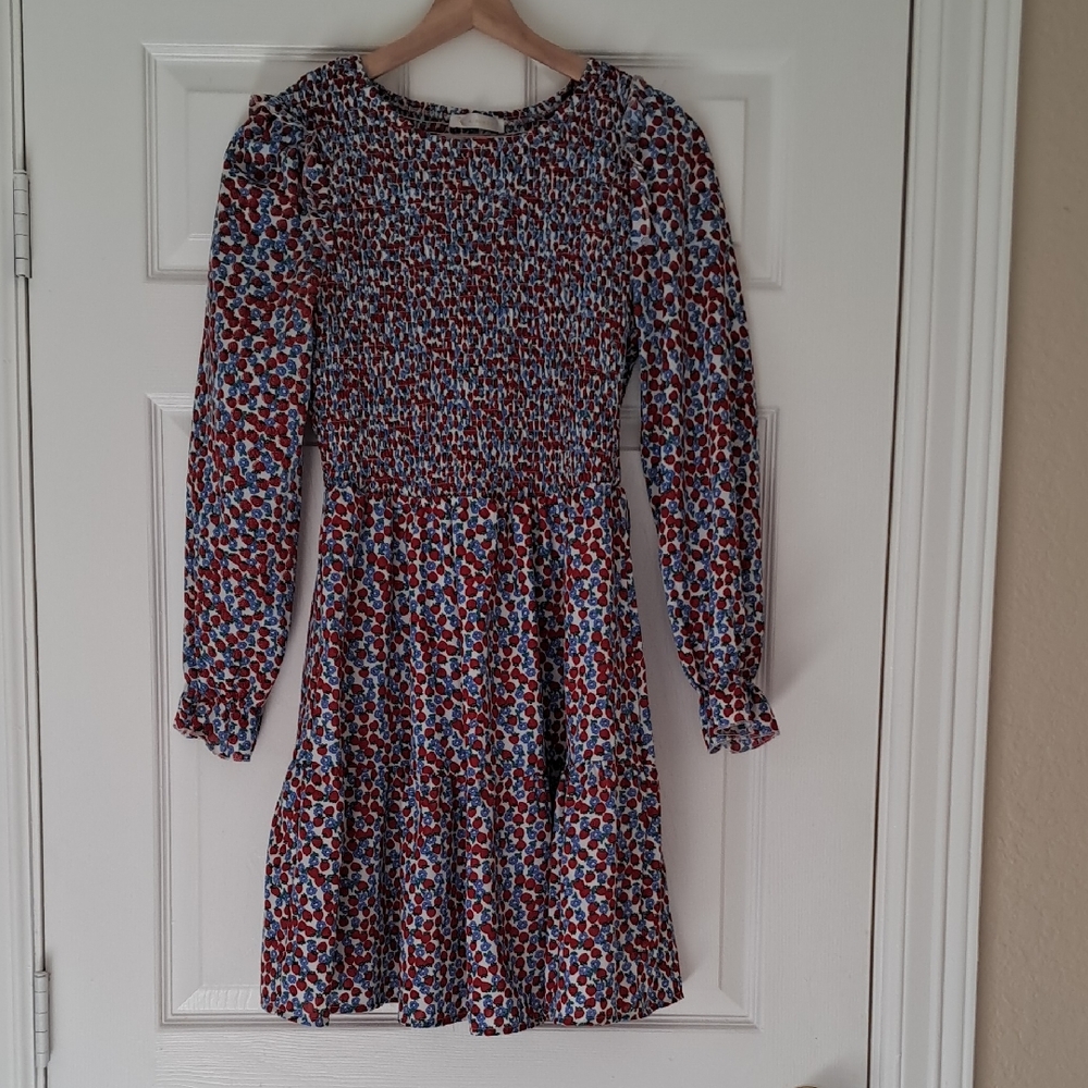 Strawberries And Flowers Long Sleeve Dress
